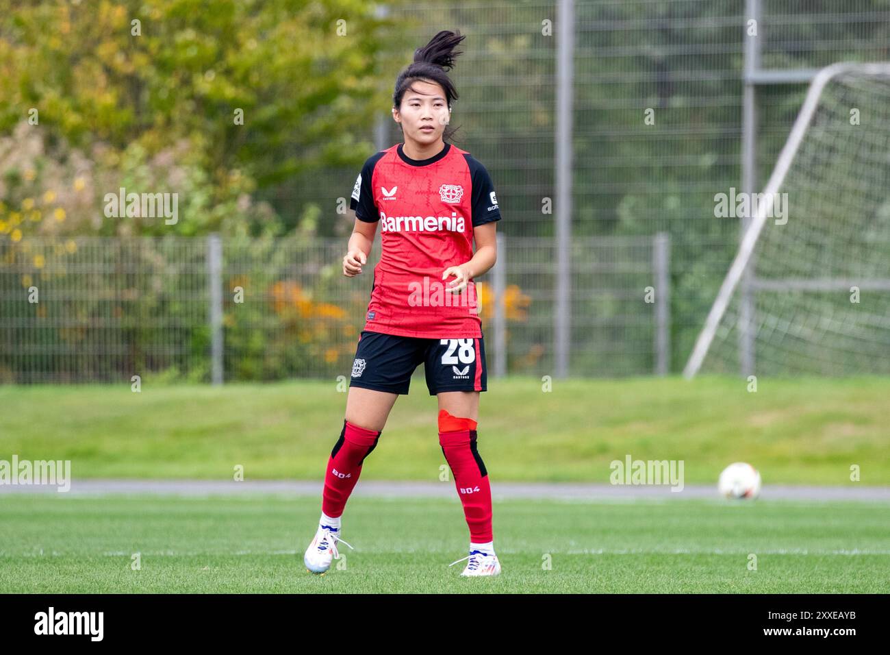 Menglu Menglu shen hi-res stock photography and images - Alamy