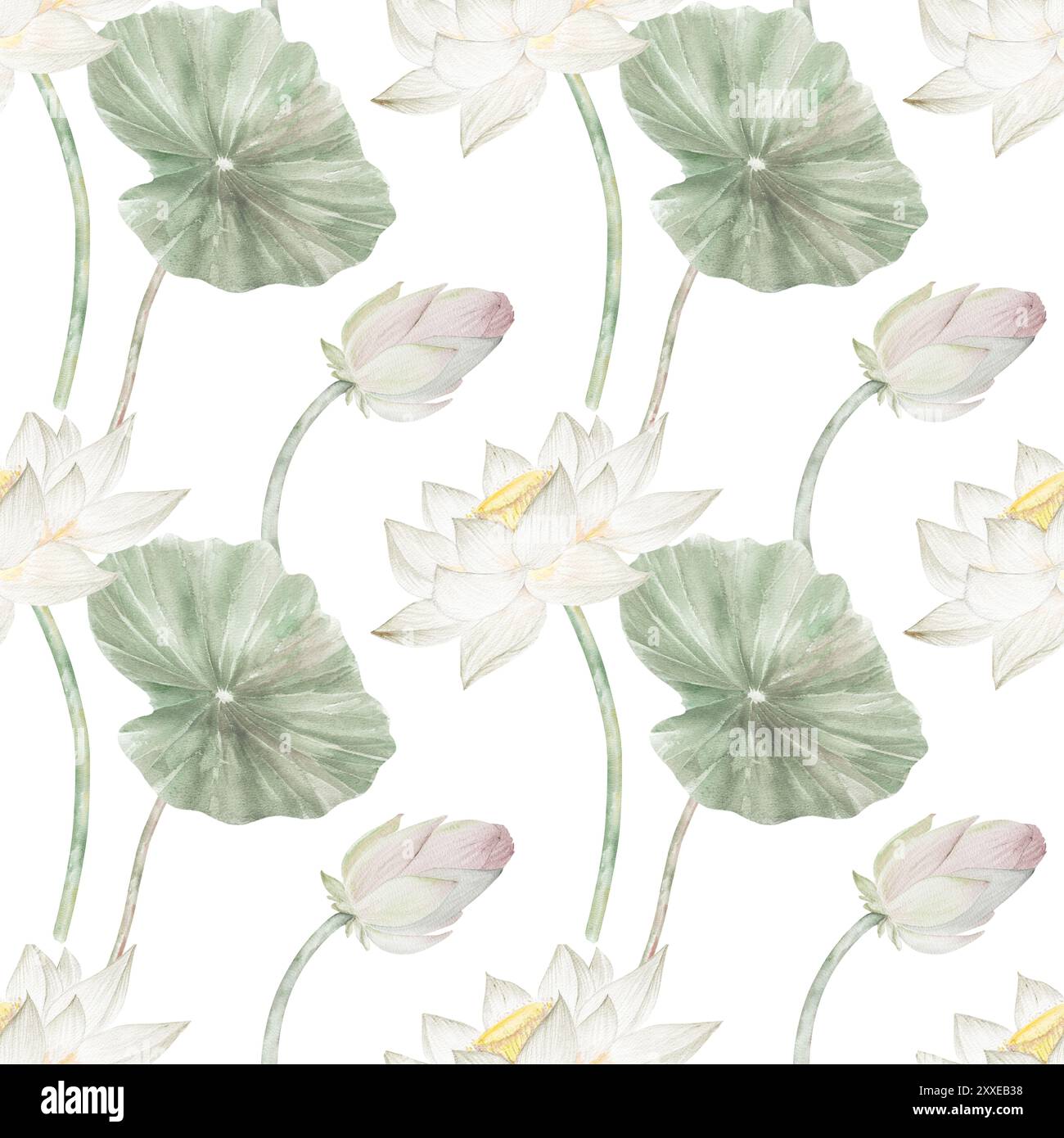 Seamless pattern of lotuses, seeds and leaves. Watercolor illustration ...