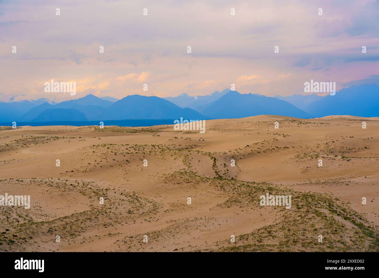 A vast landscape of rolling desert dunes under a dramatic sky, with ...