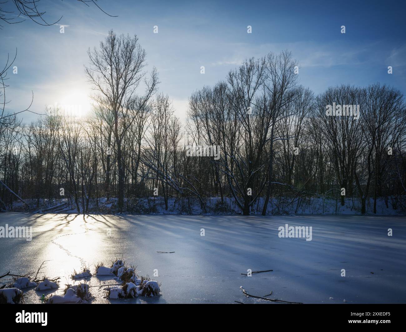 Aerial view snowy shore trees hi-res stock photography and images - Alamy