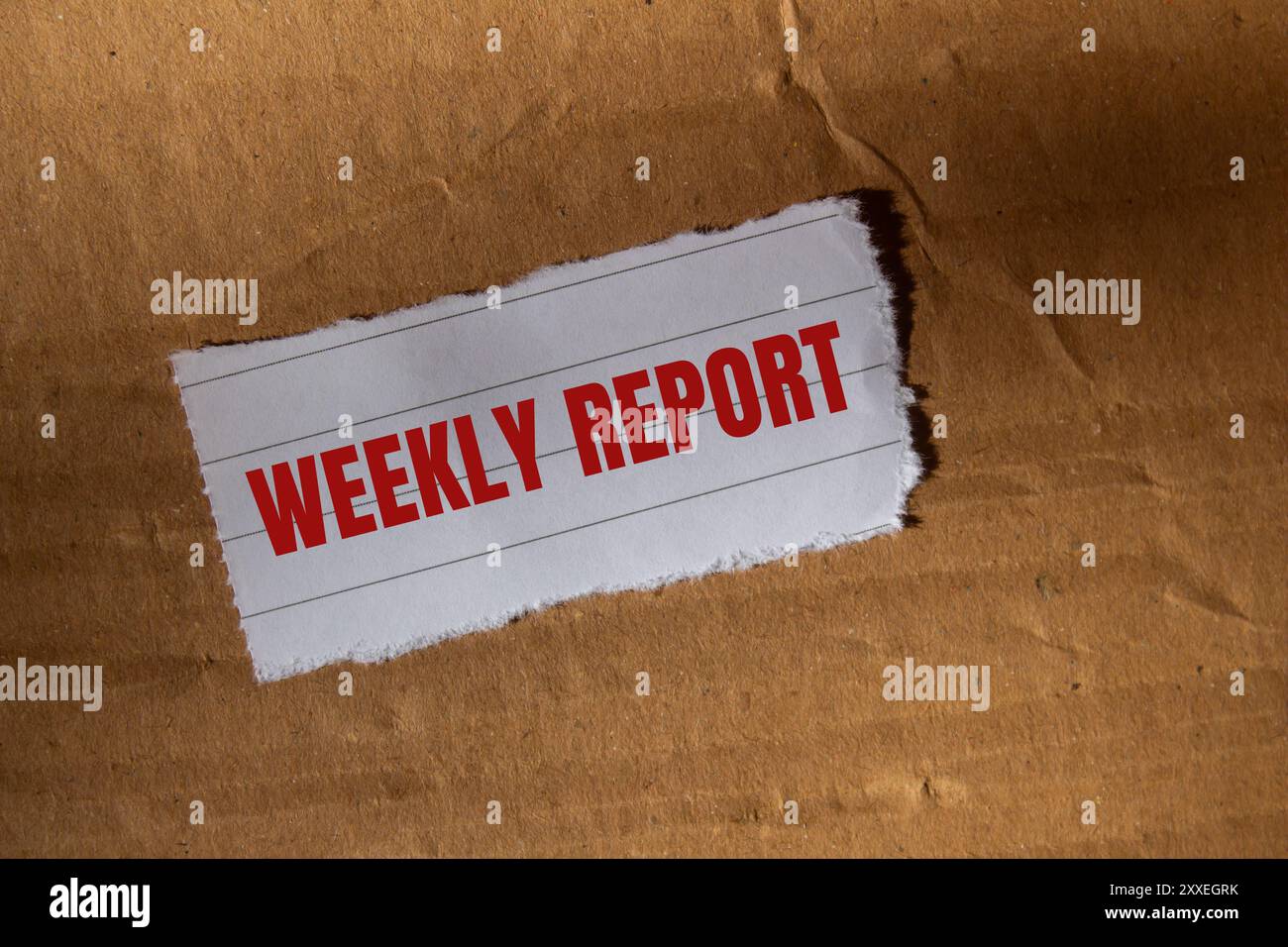 Weekly report message written on ripped torn white paper piece with ...