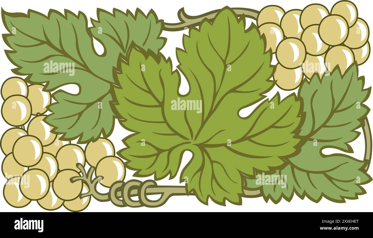 grapes composition with isolated view of hanging clusters of different ...