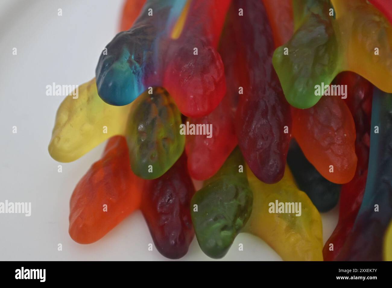 Variety of snakes hi-res stock photography and images - Alamy