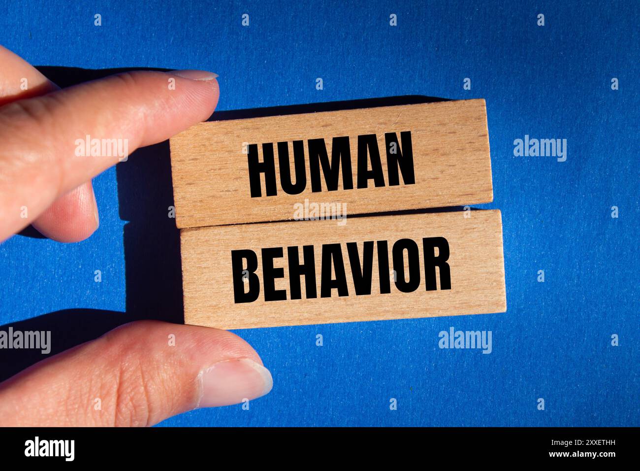 Behavior analysis hi-res stock photography and images - Alamy