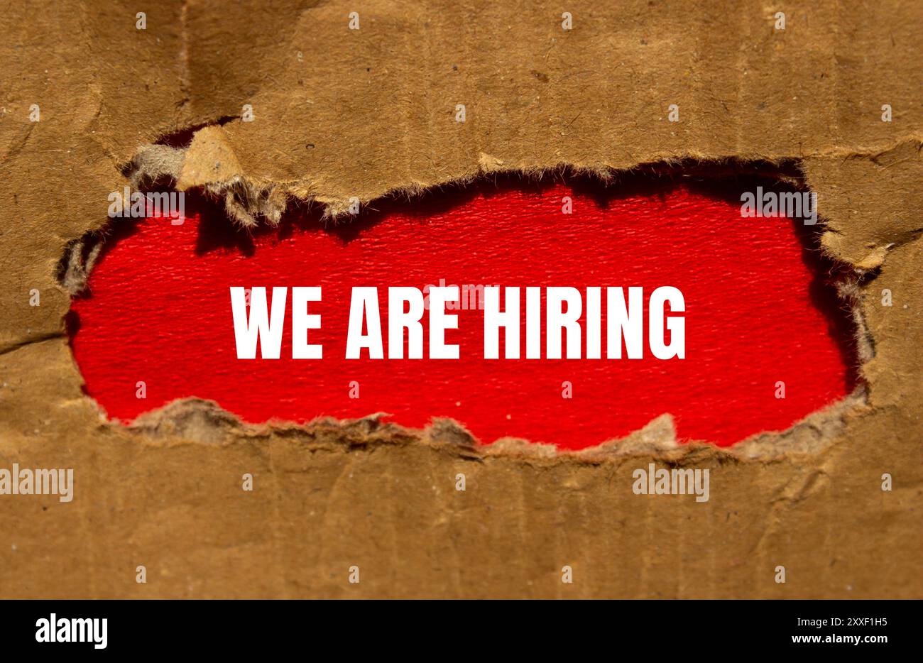 We are hiring message written on torn cardboard paper with red ...
