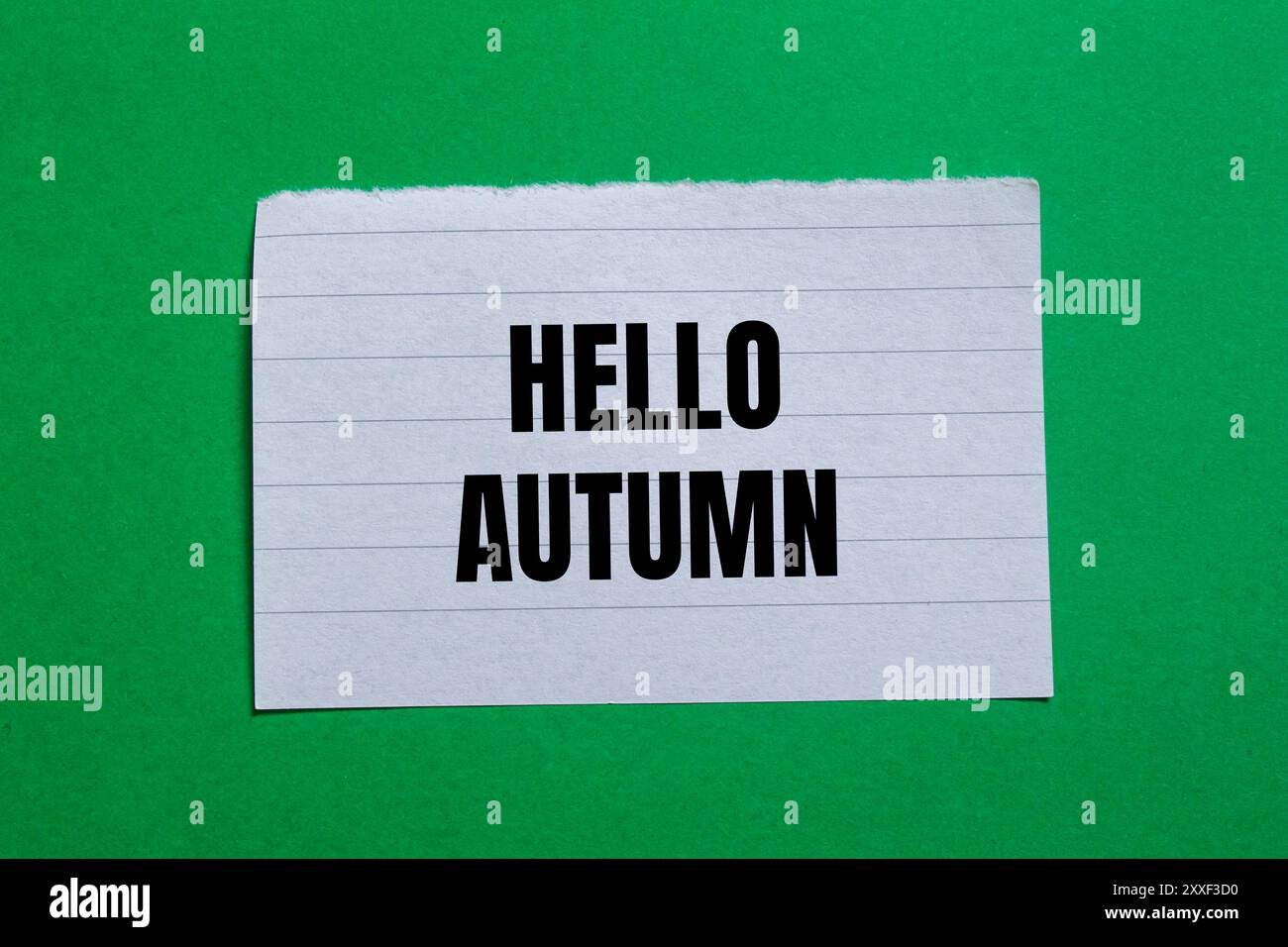 Hello autumn message written on ripped torn paper piece with green ...
