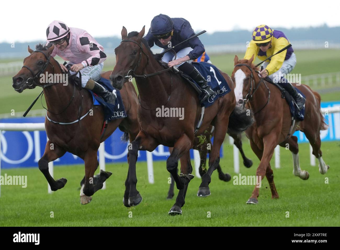 Henri matisse horse racing hi-res stock photography and images - Alamy