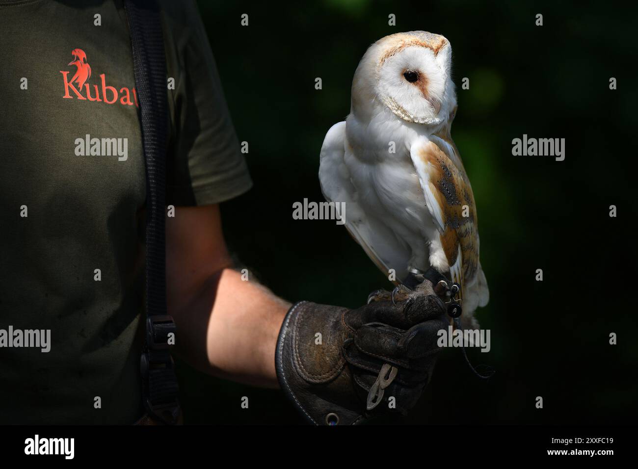 Garajlar orqasidagi kamera