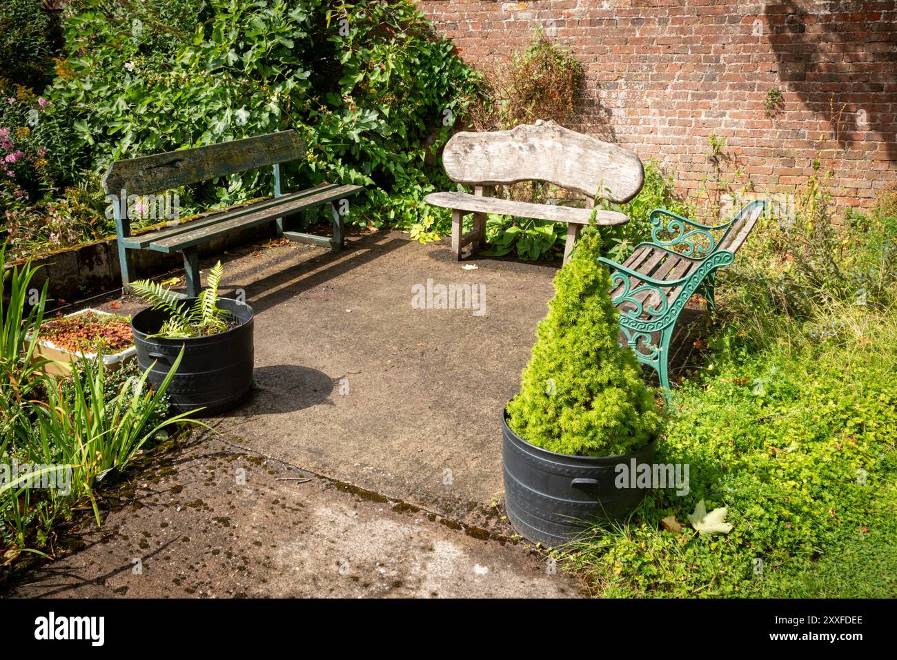 Garden benches in a quiet corner of a large garden, UK.2024 Stock Photo