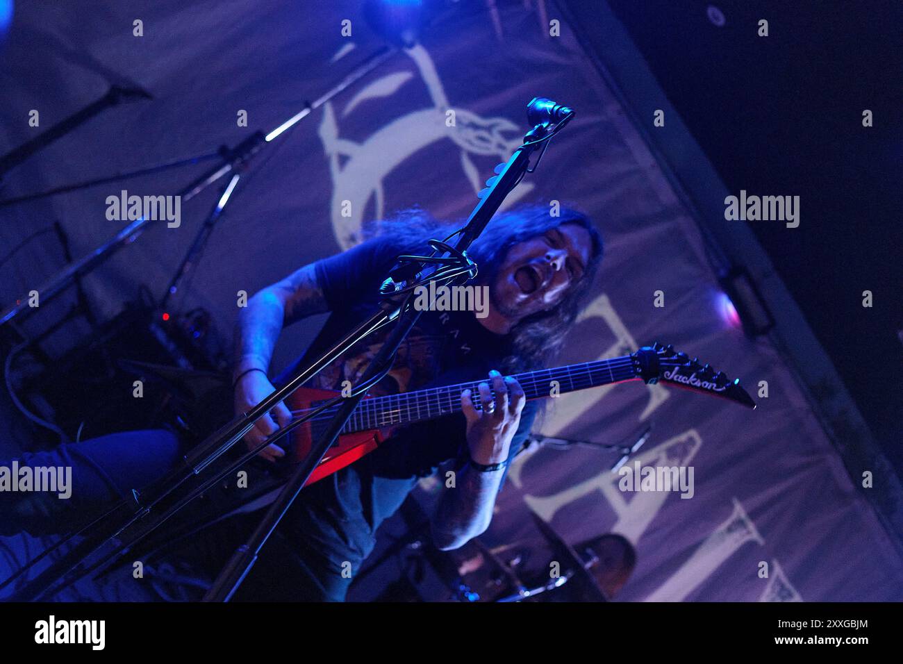 Beermageddon Festival, Stoke Prior United Kingdom. 24 Aug 2024. Catalysis Performs at Beermageddon Festival, Stoke Prior, United Kingdom. Copyright Will Tudor/Alamy Live News Stock Photo