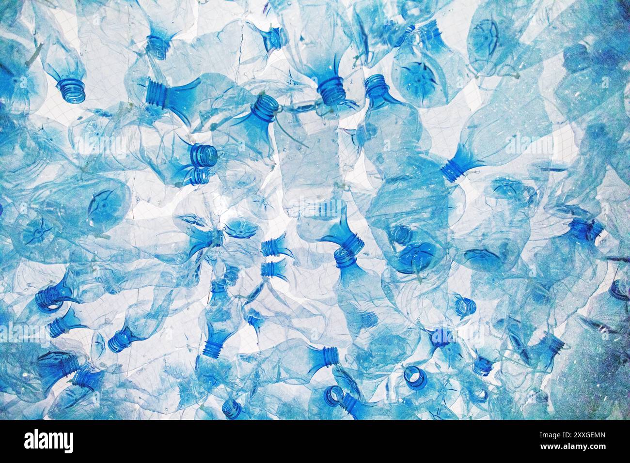 PDFA Biology-Architecture Collaboration: Integrating Biological Concepts ...