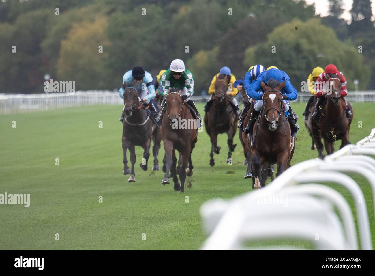 MIDNIGHT THUNDER ridden by jockey Kieran O'Neill wins the Get Raceday Ready Novice Stakes (Class 5) (GBB Race) at Royal Windsor Racecourse in Windsor, Berkshire at the Summer Closing Party. Owner and Breeder Godolphin, Trainer Saeed bin Suroor, Newmarket, Sponsor Emirates Fly Better. Credit: Maureen McLean/Alamy Live News Stock Photo