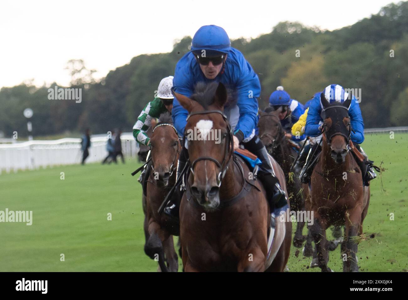 MIDNIGHT THUNDER ridden by jockey Kieran O'Neill wins the Get Raceday Ready Novice Stakes (Class 5) (GBB Race) at Royal Windsor Racecourse in Windsor, Berkshire at the Summer Closing Party. Owner and Breeder Godolphin, Trainer Saeed bin Suroor, Newmarket, Sponsor Emirates Fly Better. Credit: Maureen McLean/Alamy Live News Stock Photo