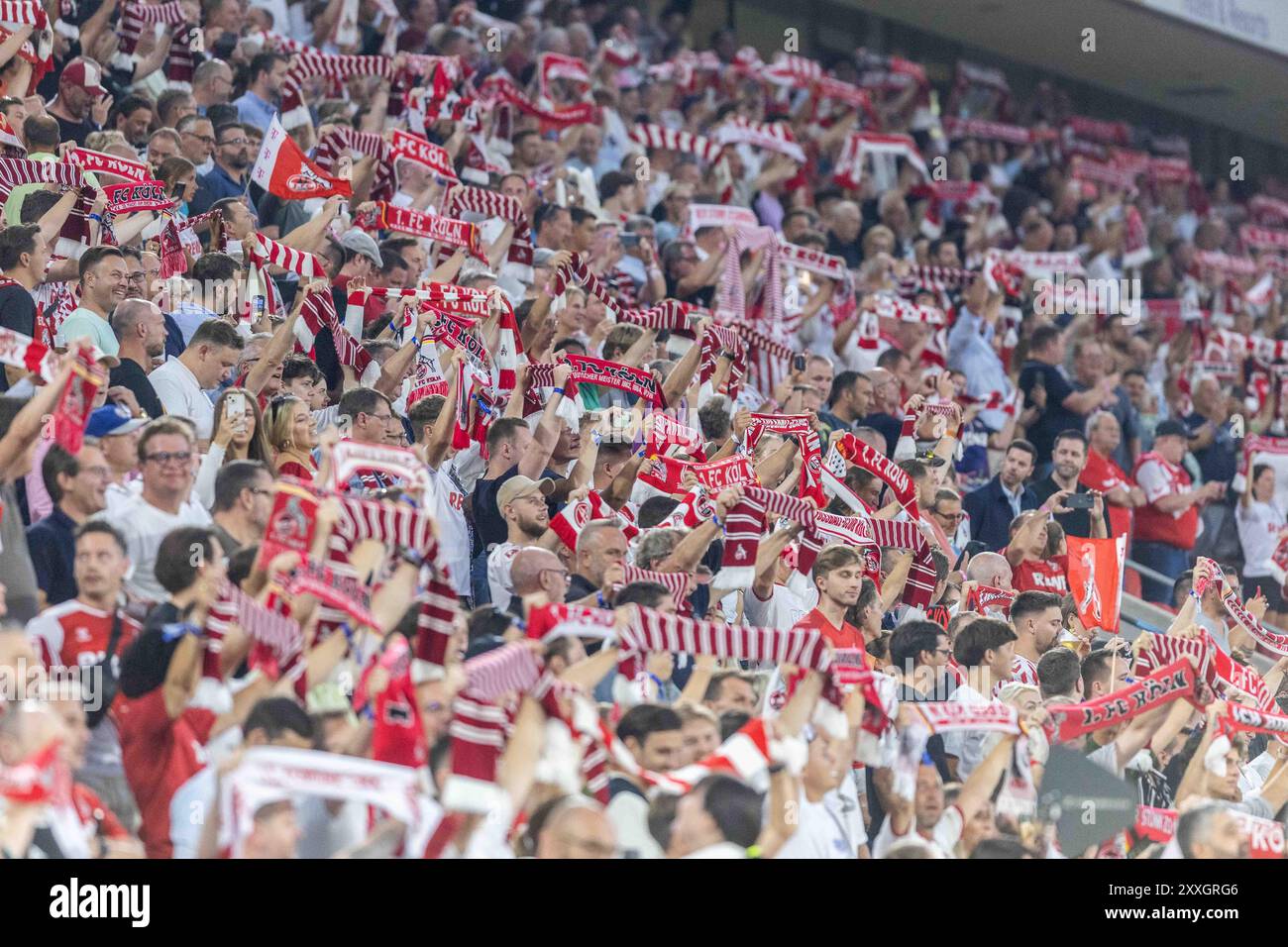 Germany. 24th Aug, 2024. Fussball 2. Liga 1. FC Koeln - Eintracht Braunschweig am 24.08.2024 im RheinEnergieStadion in Koeln Fans von Koeln DFB regulations prohibit any use of photographs as image sequences and/or quasi-video. Foto: Revierfoto Credit: ddp media GmbH/Alamy Live News Stock Photo