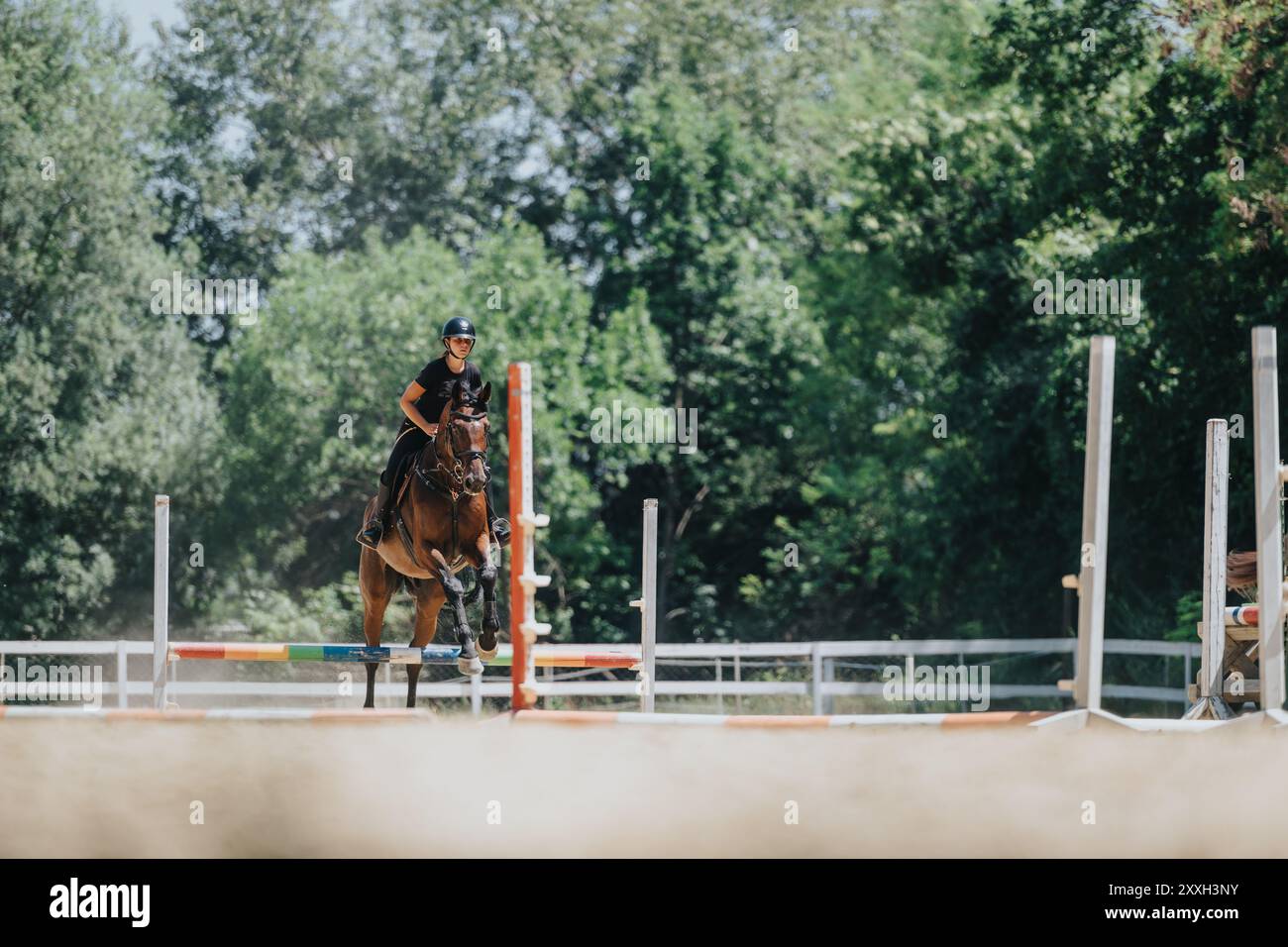 Equestrian rider jumping over hurdle during practice in outdoor arena ...