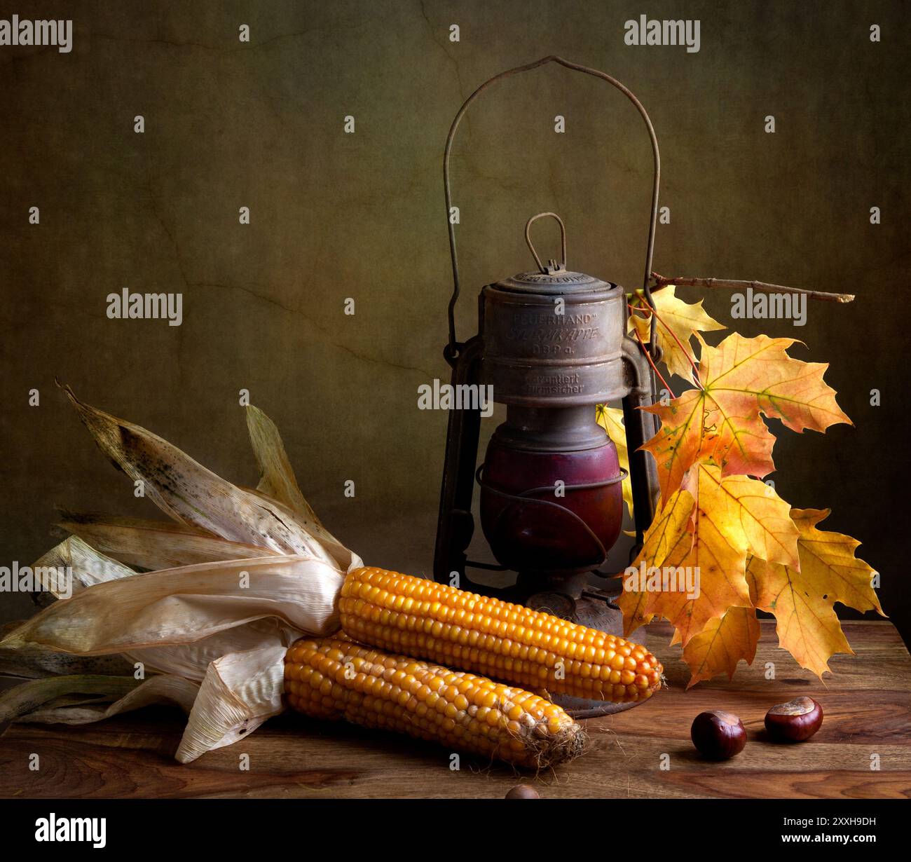 Autumnal Still Life With Paraffin Lamp And Corn Corn Cob Stock Photo autumnal-still-life-with-paraffin-lamp-and-corn-corn-cob-stock-photo