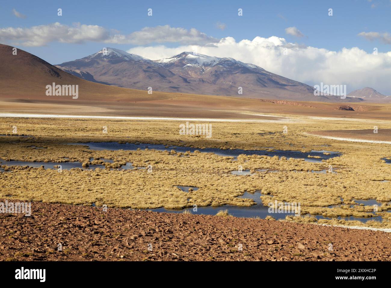 Panorama in the Atacama Desert in Chile near San Pedro de Atacama Stock ...