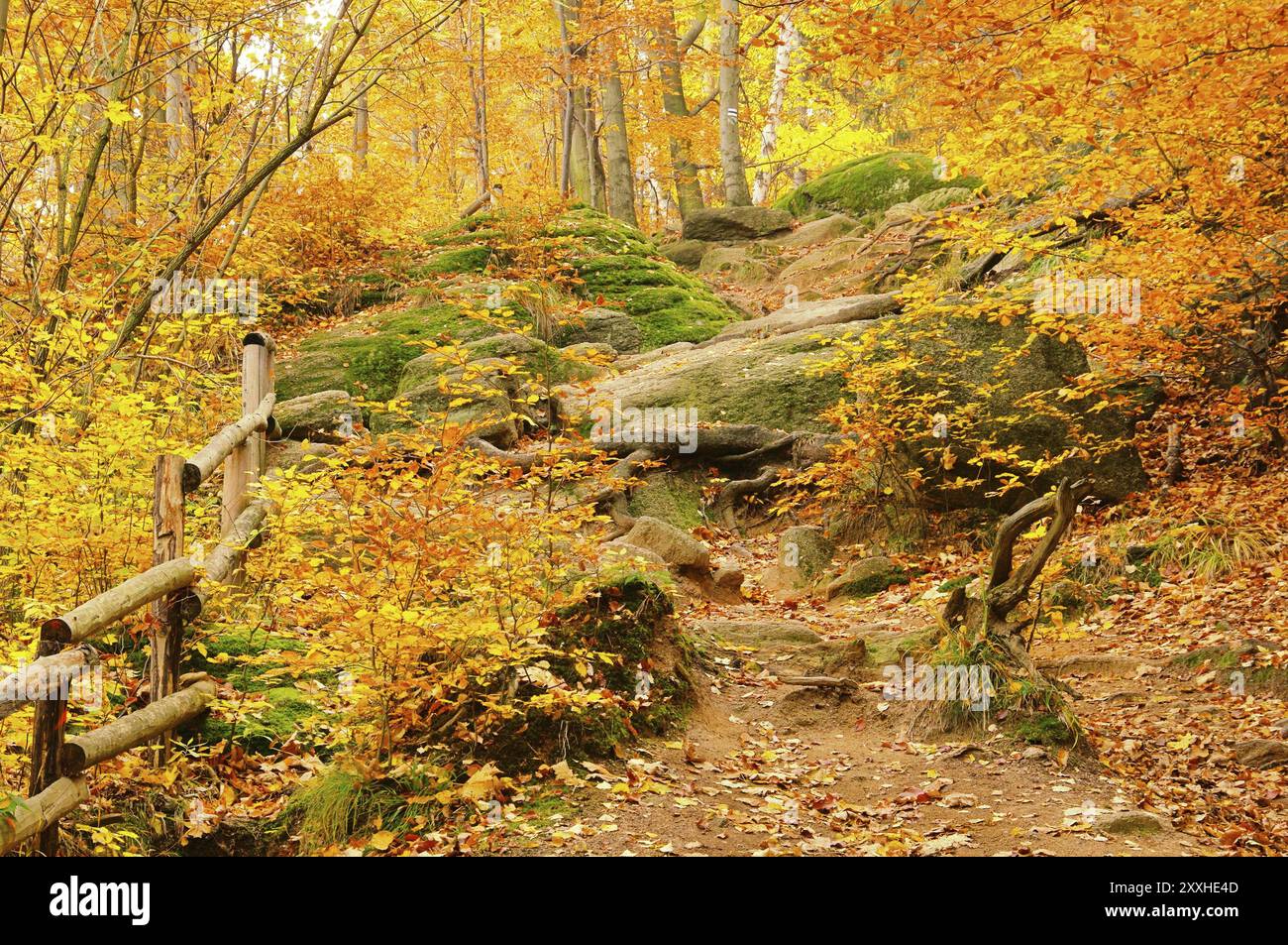 The sun light and hiking hi-res stock photography and images - Alamy