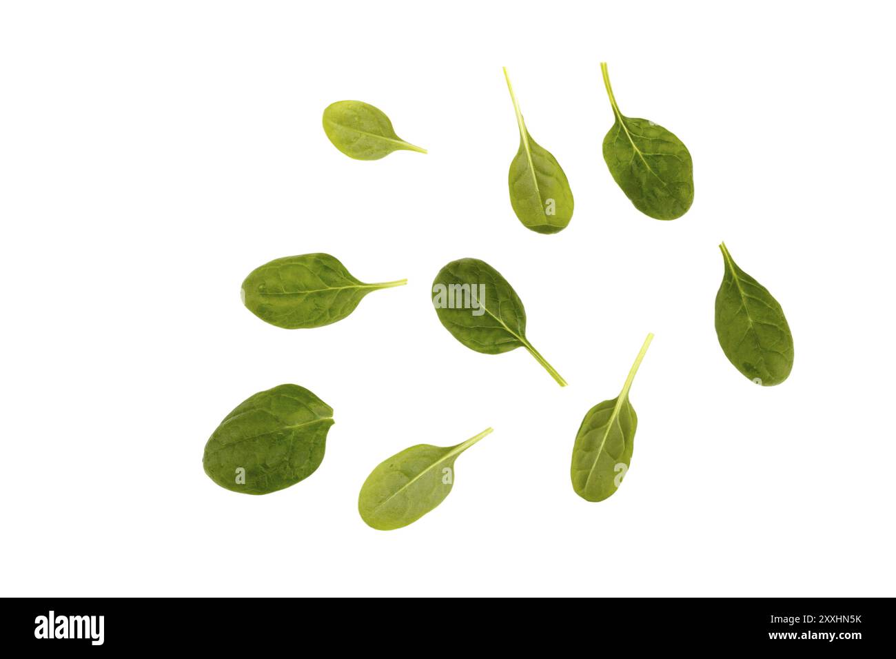 Spinach leaves isolated on white Stock Photo - Alamy