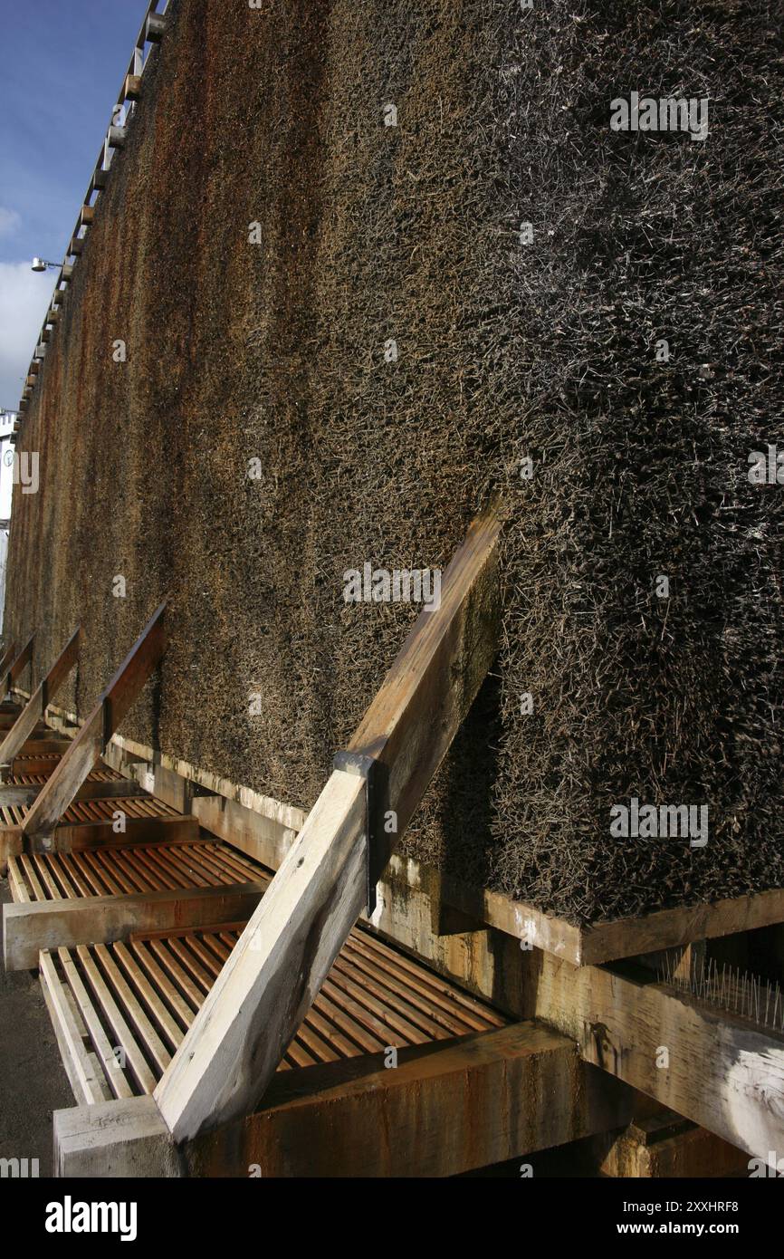 Central building of the graduation tower hi-res stock photography and ...