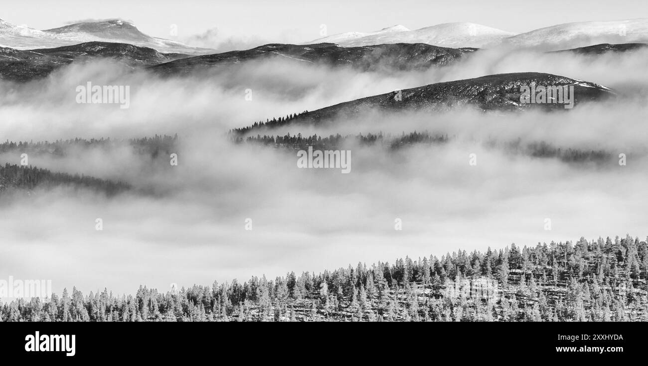 Morning fog in Engerdalsfjellet, Hedmark Fylke, Norway, October 2011, Europe Stock Photo