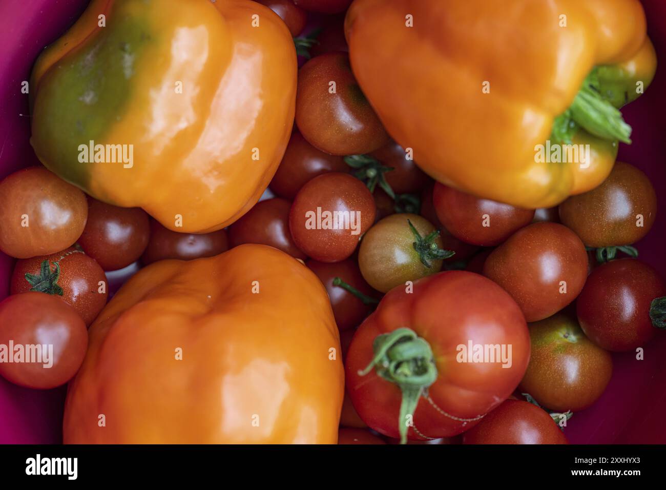 Pile of red ripe tomatoes and peppers Stock Photo - Alamy