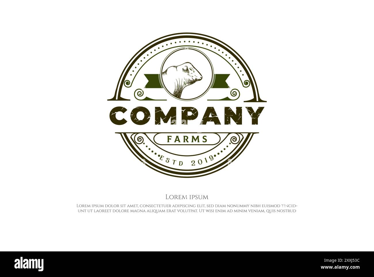 Circular Round Vintage Angus Cow Farm Livestock Cattle Logo Design Vector Stock Vector