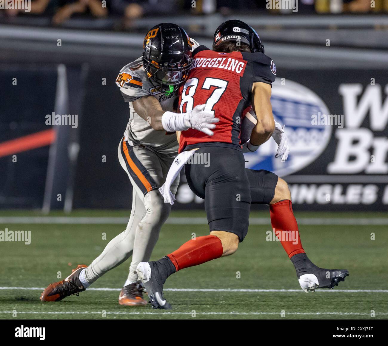 garry-peters-lions-hi-res-stock-photography-and-images-alamy