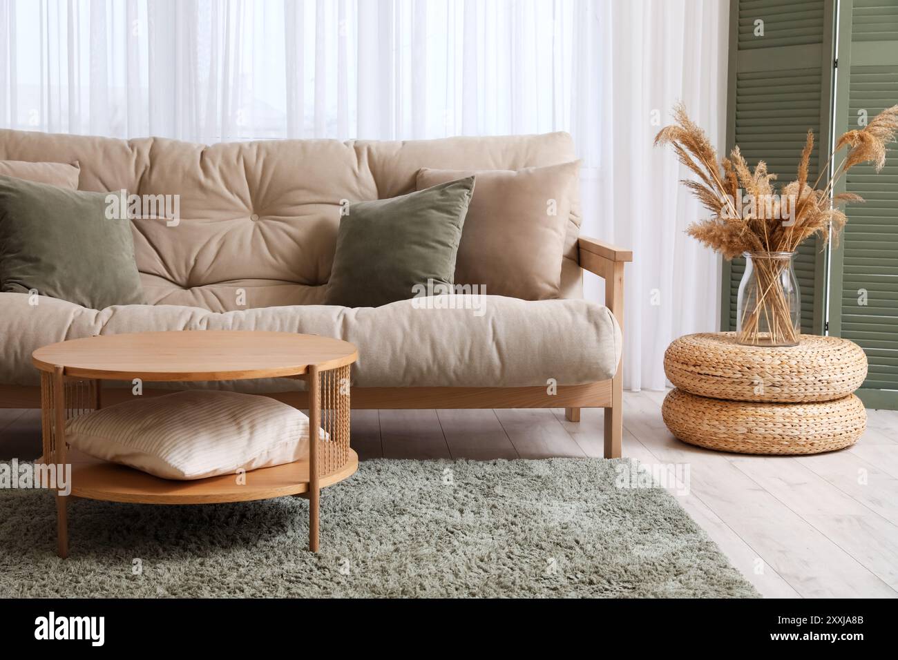 Stylish interior of living room with carpet and sofa Stock Photo - Alamy