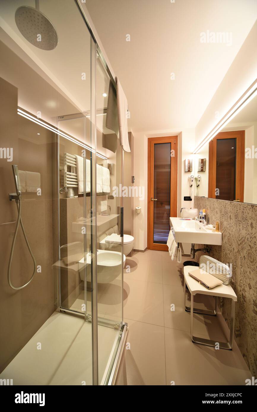 Hotel bathroom, toilet & bidet, contemporary fittings, glass shower recess, large white ...