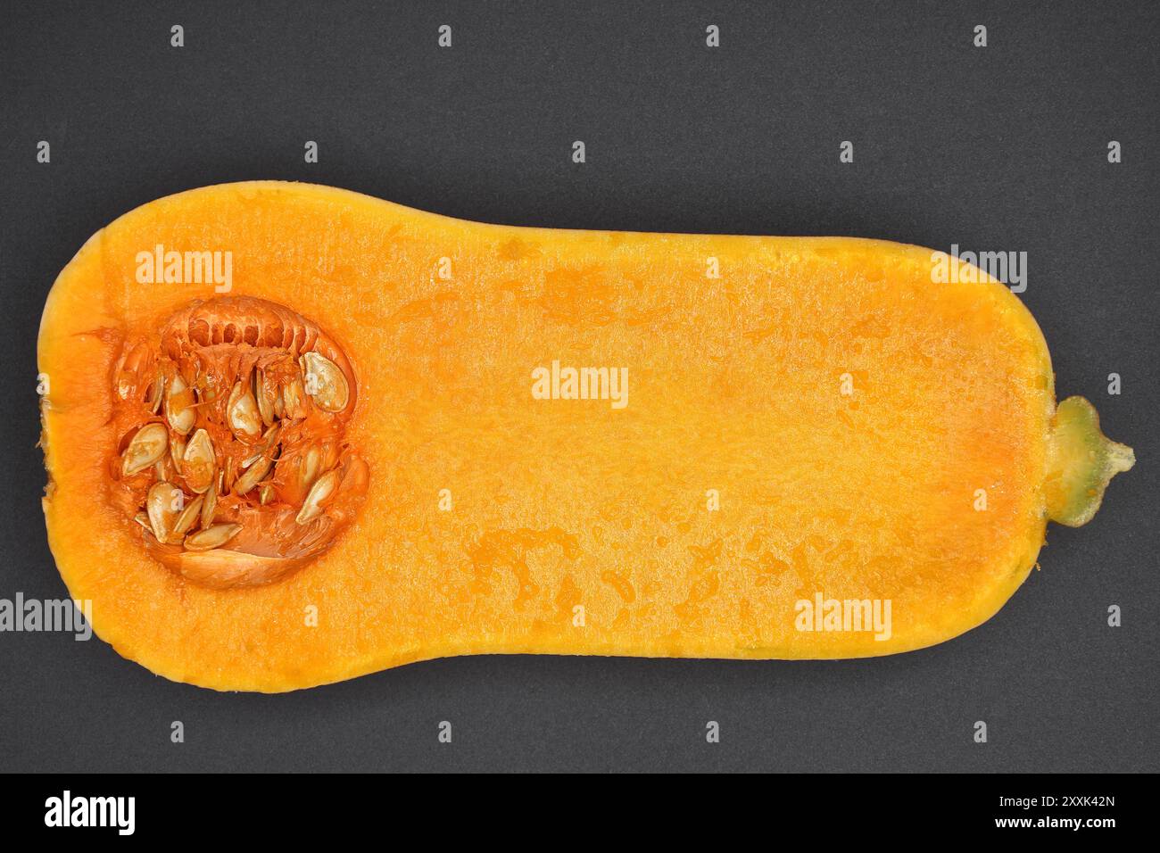 Closeup longitudinal section of Butternut squash Stock Photo