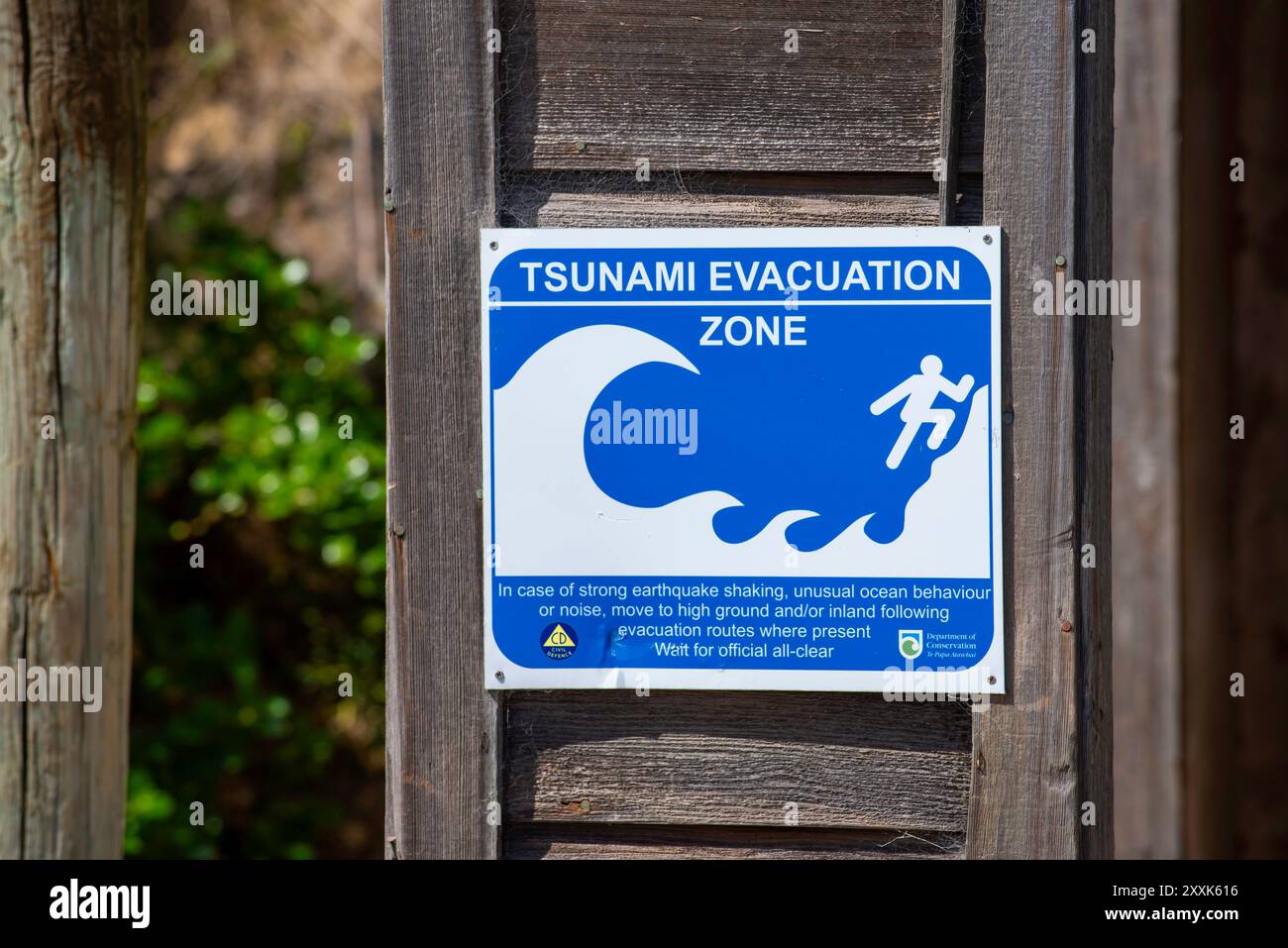 Nz tsunami warning today live near wellington