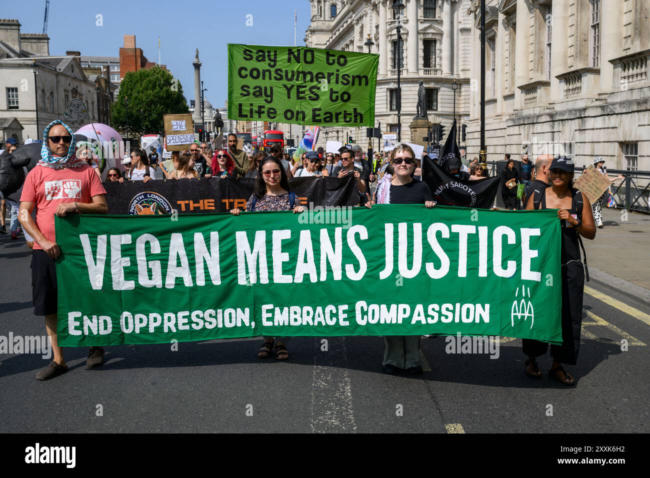 Animal rights march protestor hi-res stock photography and images - Alamy