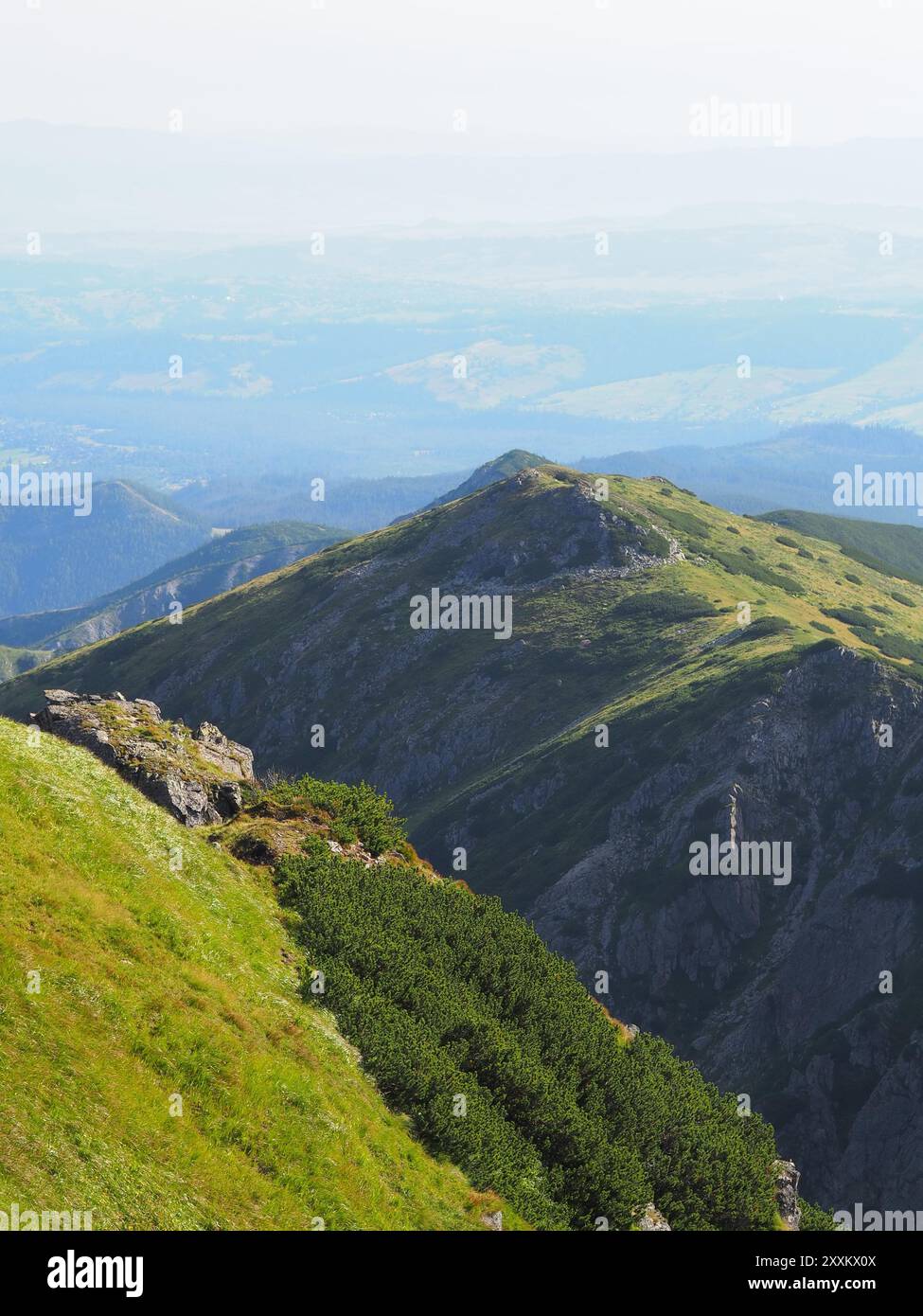 Verdant Ridges Soft hills stretching hi-res stock photography and images - Alamy