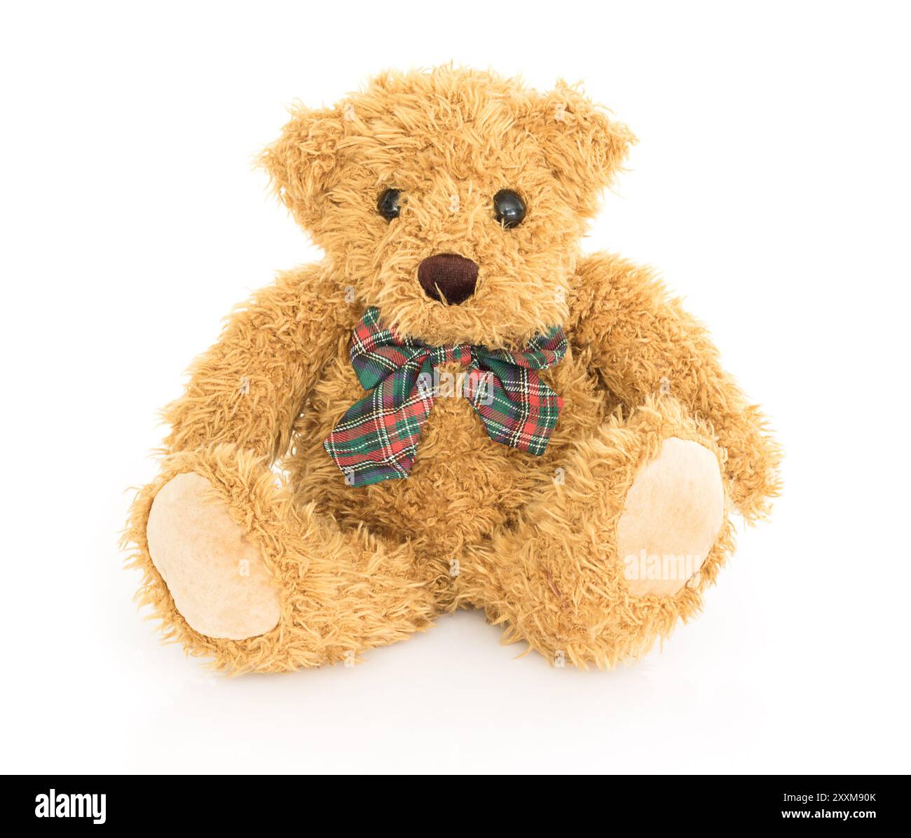 Brown teddy bear sitting on white background Stock Photo - Alamy