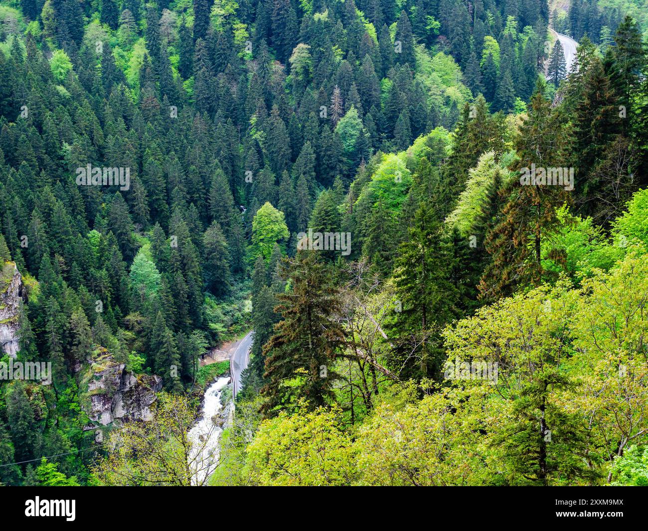 above view of river in mountain valley in Altındere National Park near Sumela monastery at Karadag of Pontic Mountains in Macka district of Trabzon Pr Stock Photo