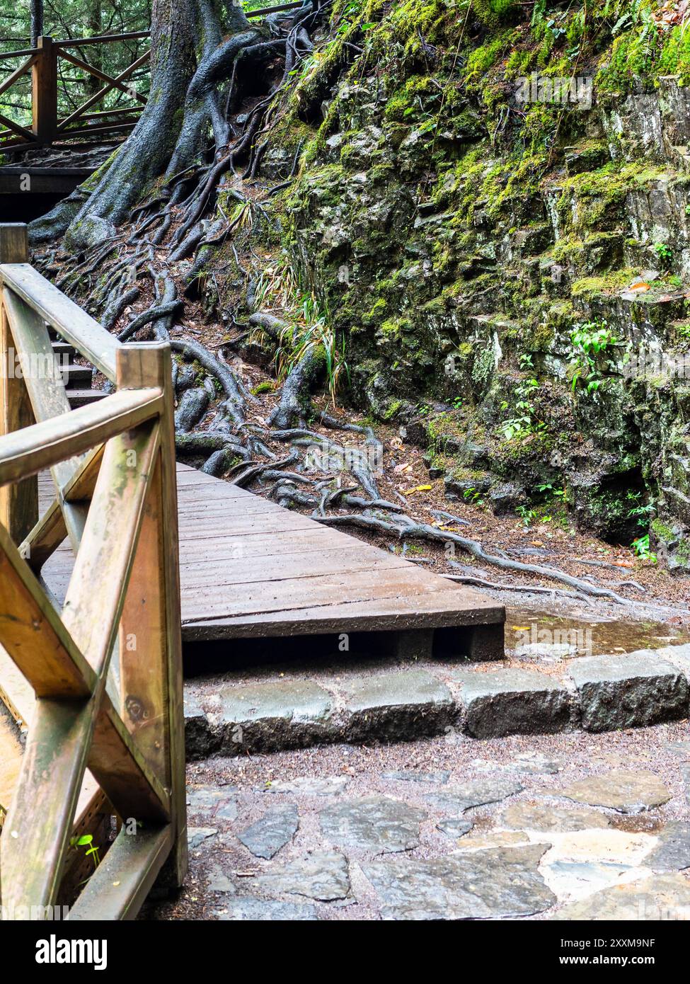 wooden bridge in wet mountain forest in Altındere National Park near Sumela monastery at Karadag of Pontic Mountains in Macka district of Trabzon Prov Stock Photo
