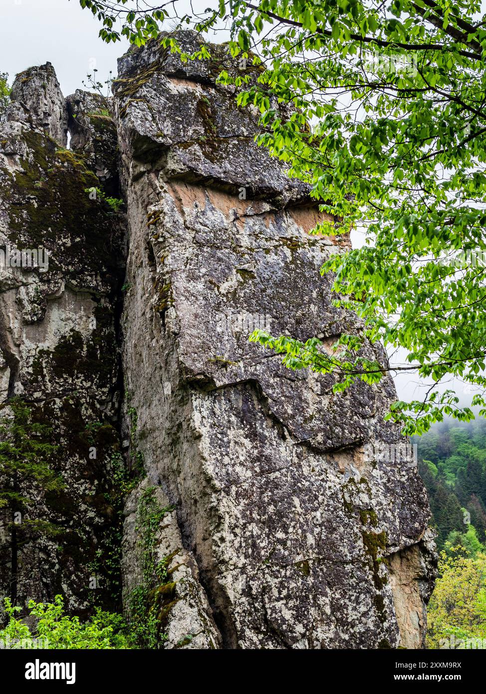 rock in Altındere National Park near Sumela monastery at Karadag of Pontic Mountains in Macka district of Trabzon Province, Turkey Stock Photo