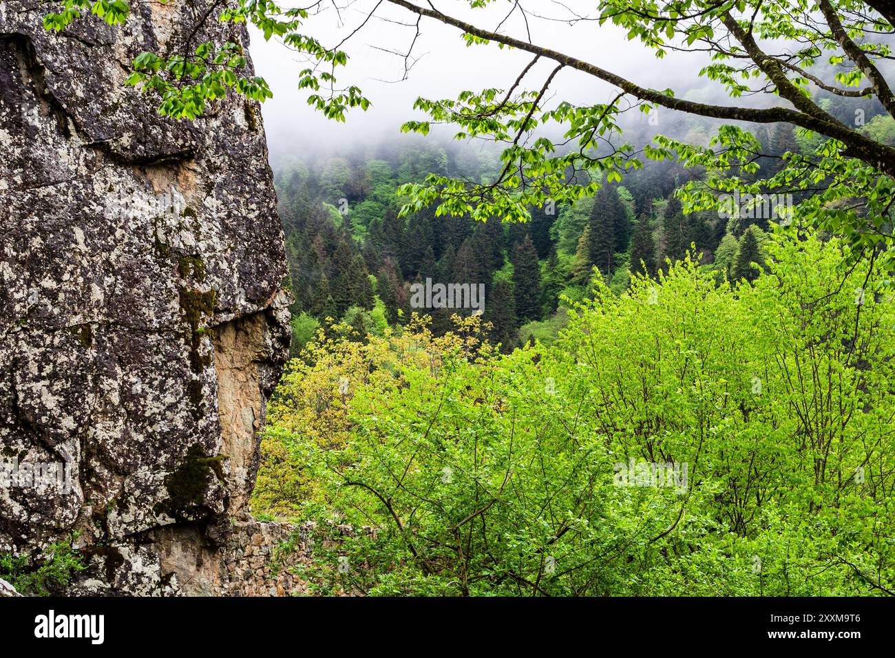 rock and clouds in Altındere National Park near Sumela monastery at Karadag of Pontic Mountains in Macka district of Trabzon Province, Turkey Stock Photo