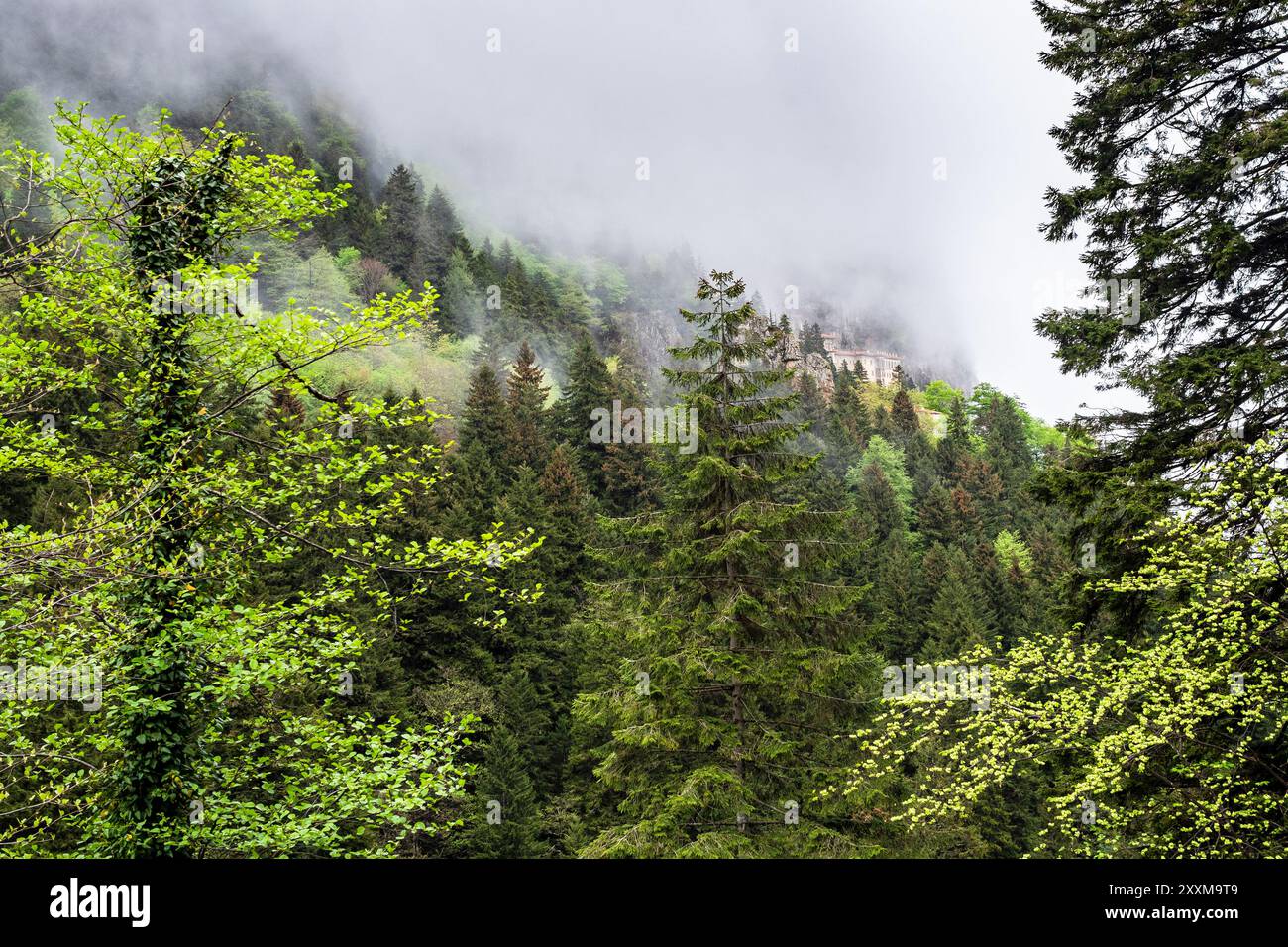 gray clouds and green mountains in Altındere National Park near Sumela monastery at Karadag of Pontic Mountains in Macka district of Trabzon Province, Stock Photo
