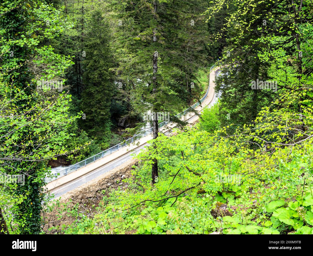 road to Sumela monastery in Altındere National Park near at Karadag of Pontic Mountains in Macka district of Trabzon Province, Turkey Stock Photo