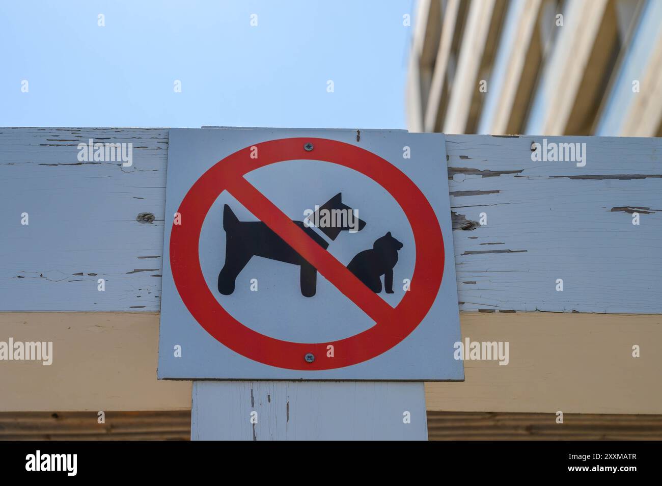 Prohibiting signs prohibited dog hi-res stock photography and images ...