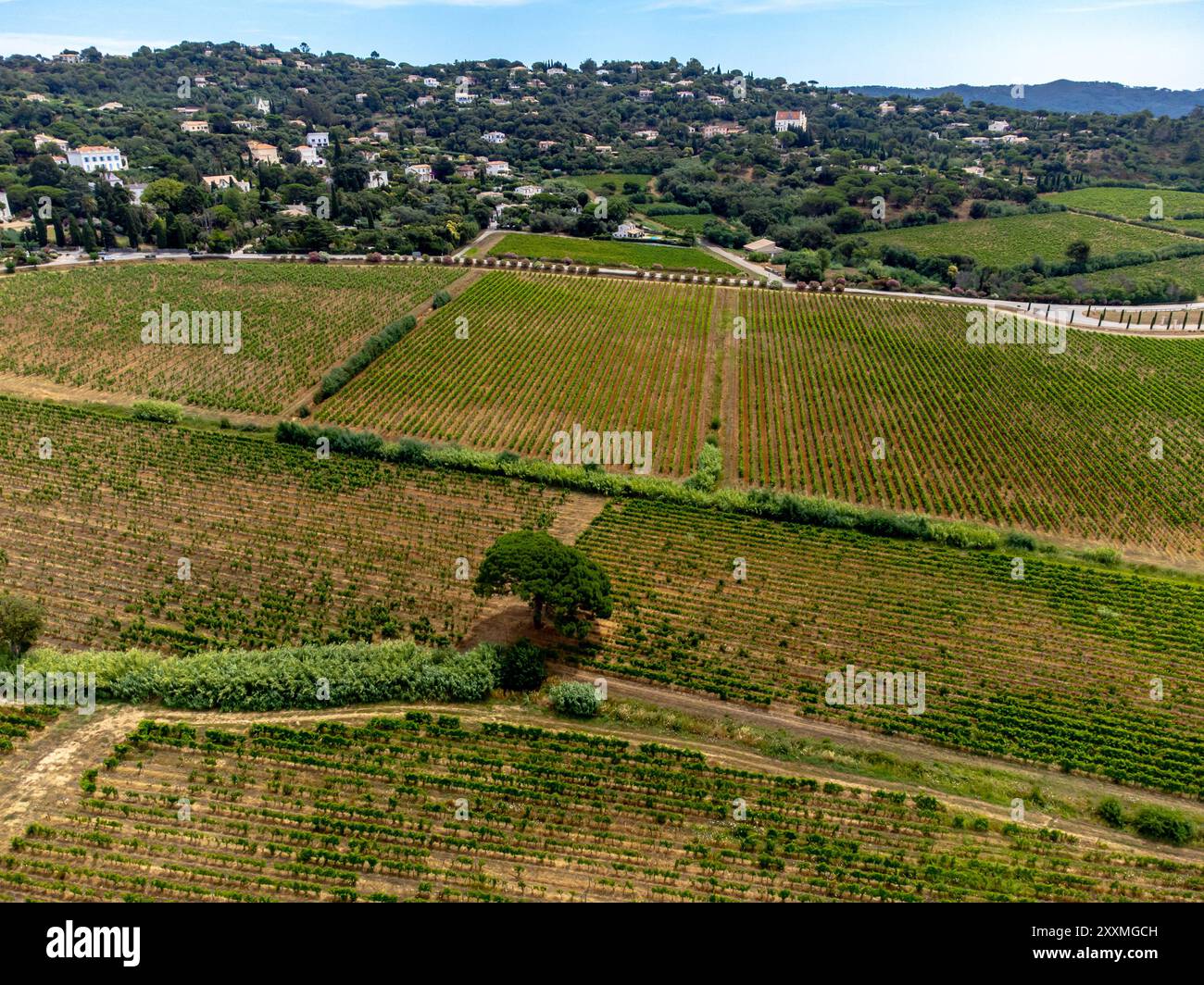 aerial-view-on-hills-sea-houses-and-green-vineyards-cotes-de-provence
