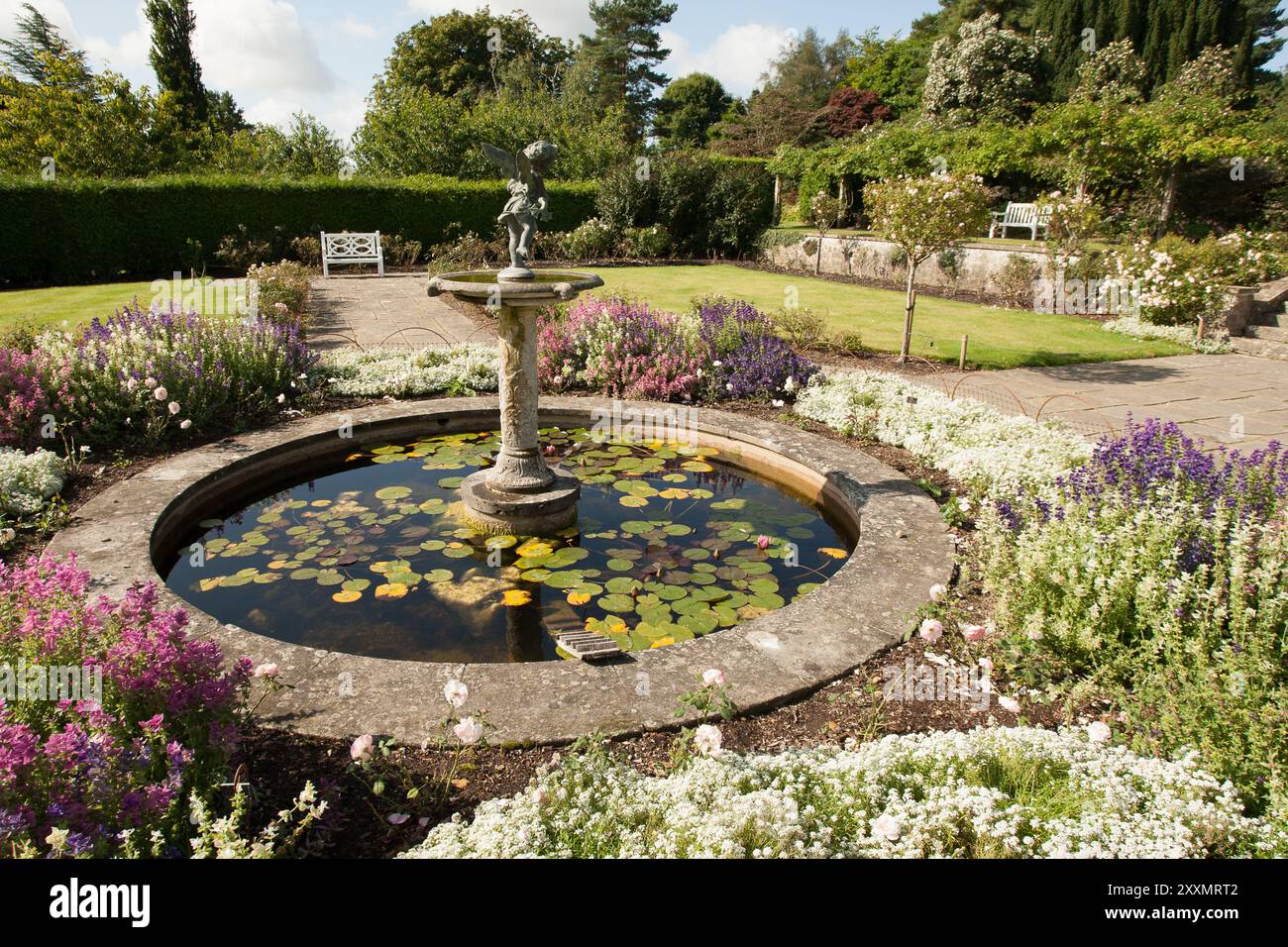 Ornamental exploration hi-res stock photography and images - Alamy