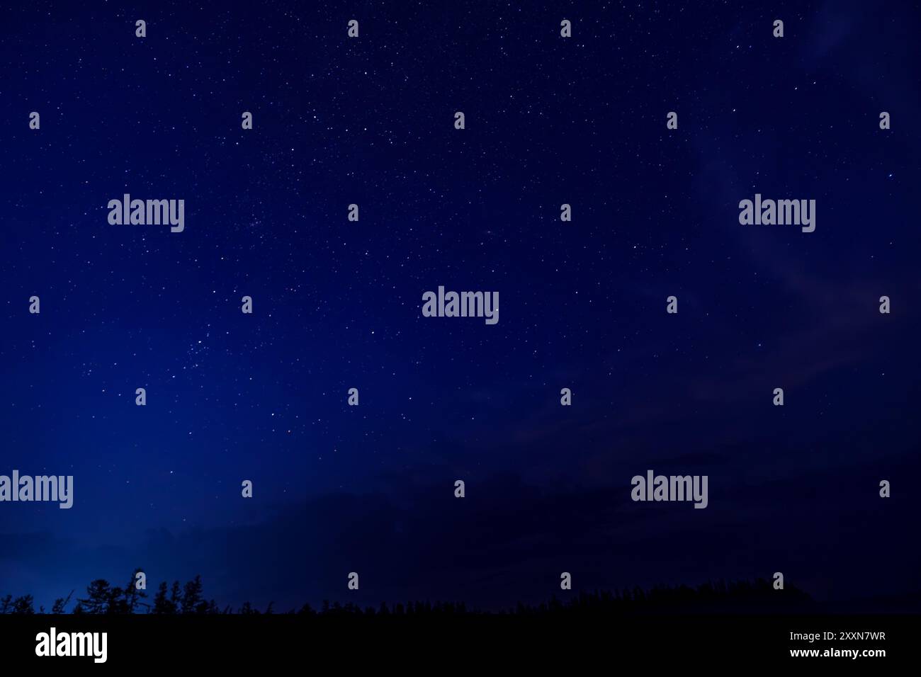Night sky filled with stars hi-res stock photography and images - Alamy