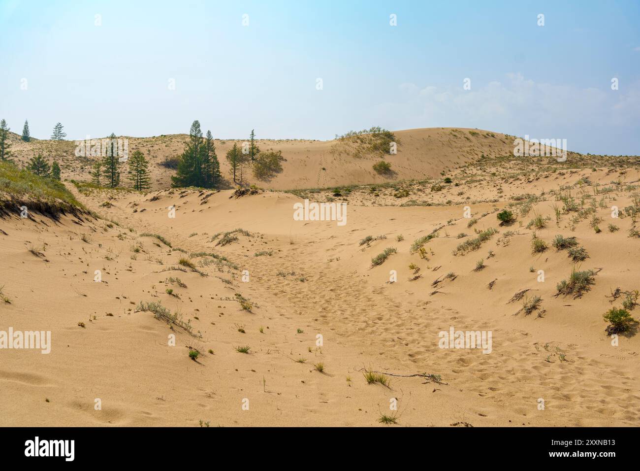 A sandy desert landscape featuring gentle dunes and sparse vegetation ...