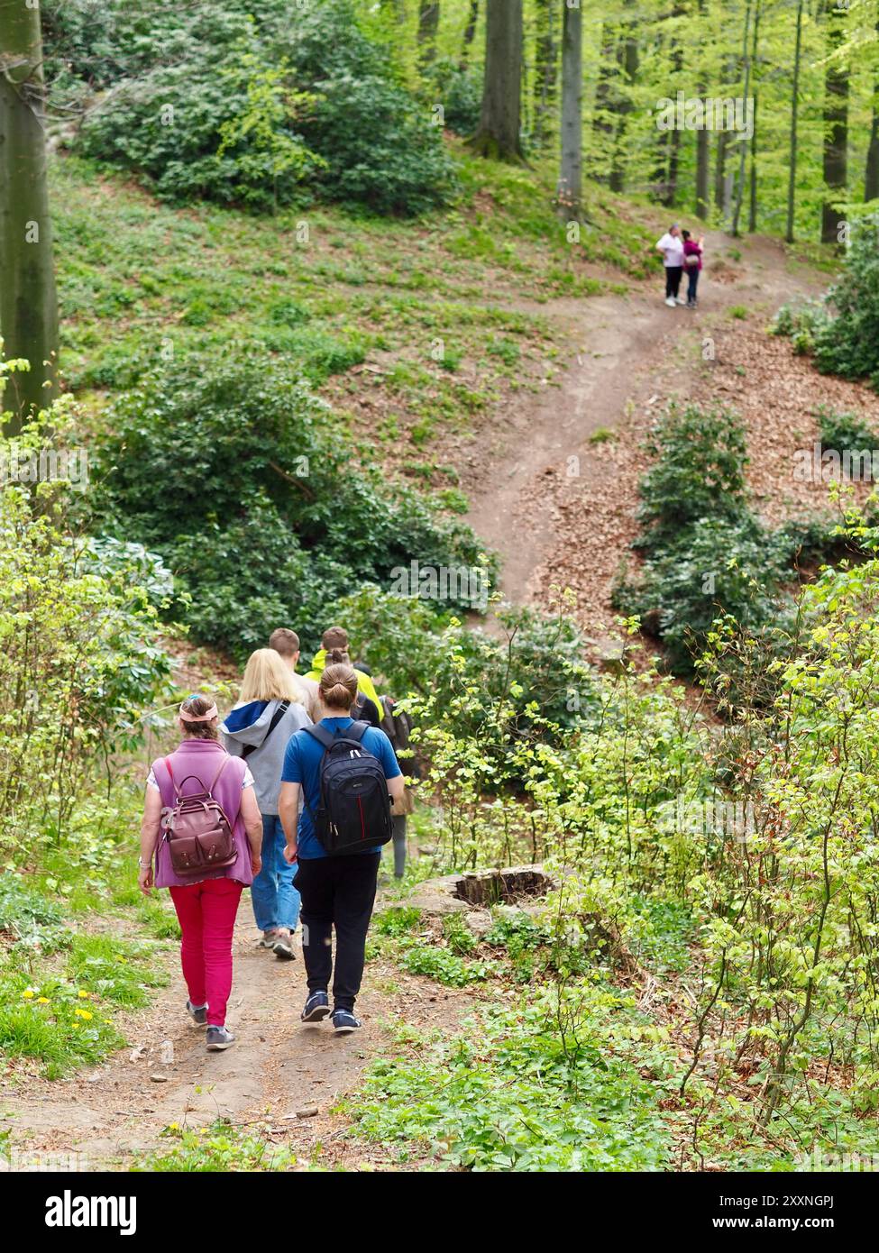 Hikers exploring lush forest trail hi-res stock photography and images ...