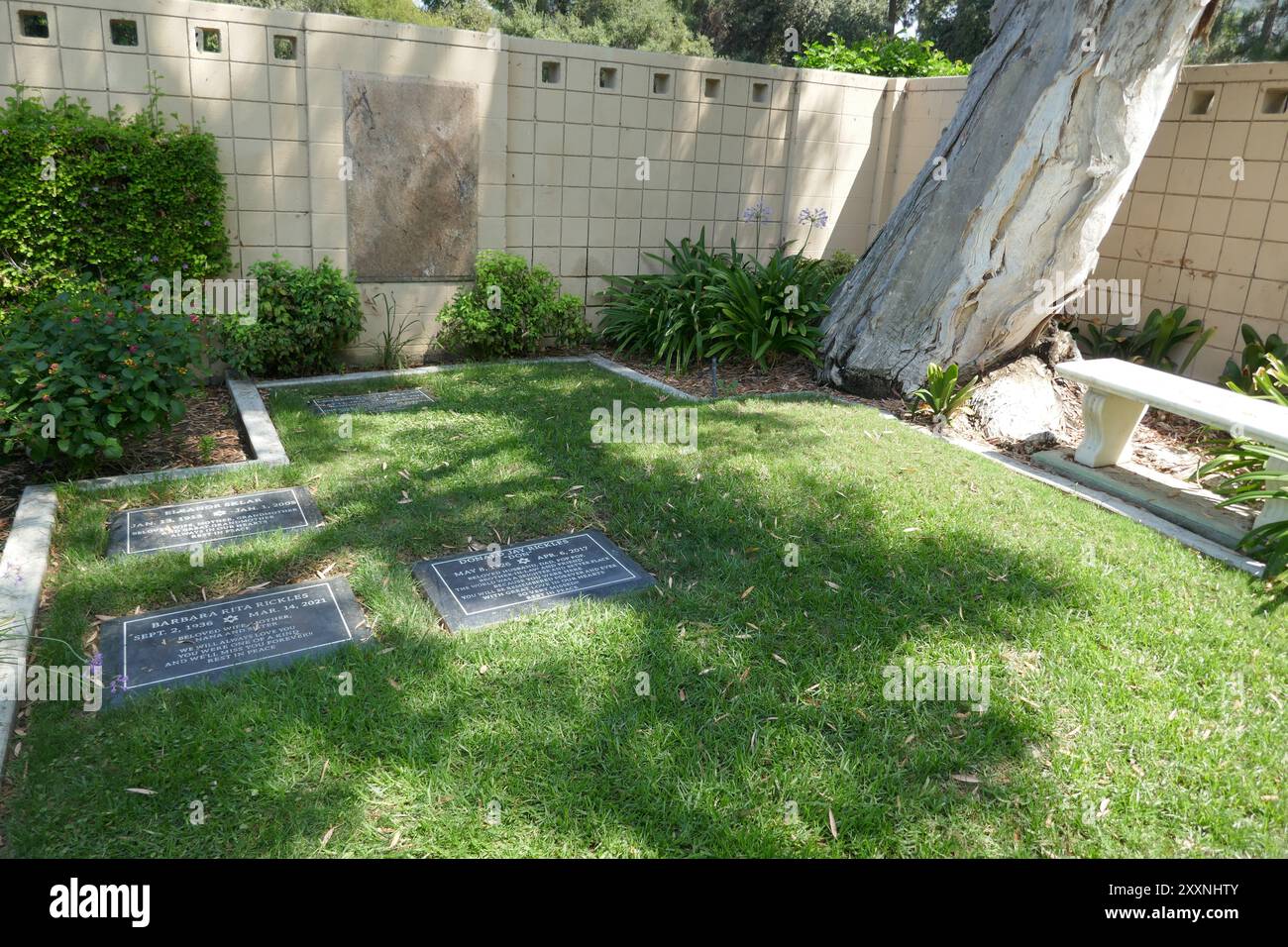 Los Angeles, California, USA 23rd August 2024 Comedian Don Rickles Grave at Mount Sinai Memorial Park on August 23, 2024 in Los Angeles, California, USA. Photo by Barry King/Alamy Stock Photo Stock Photo