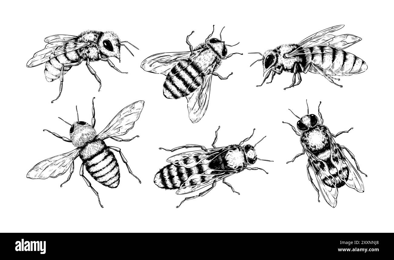 Bee Honeycomb Tattoos: Symbolism, Design Ideas \u0026 Placement Tips, image size:1300x860