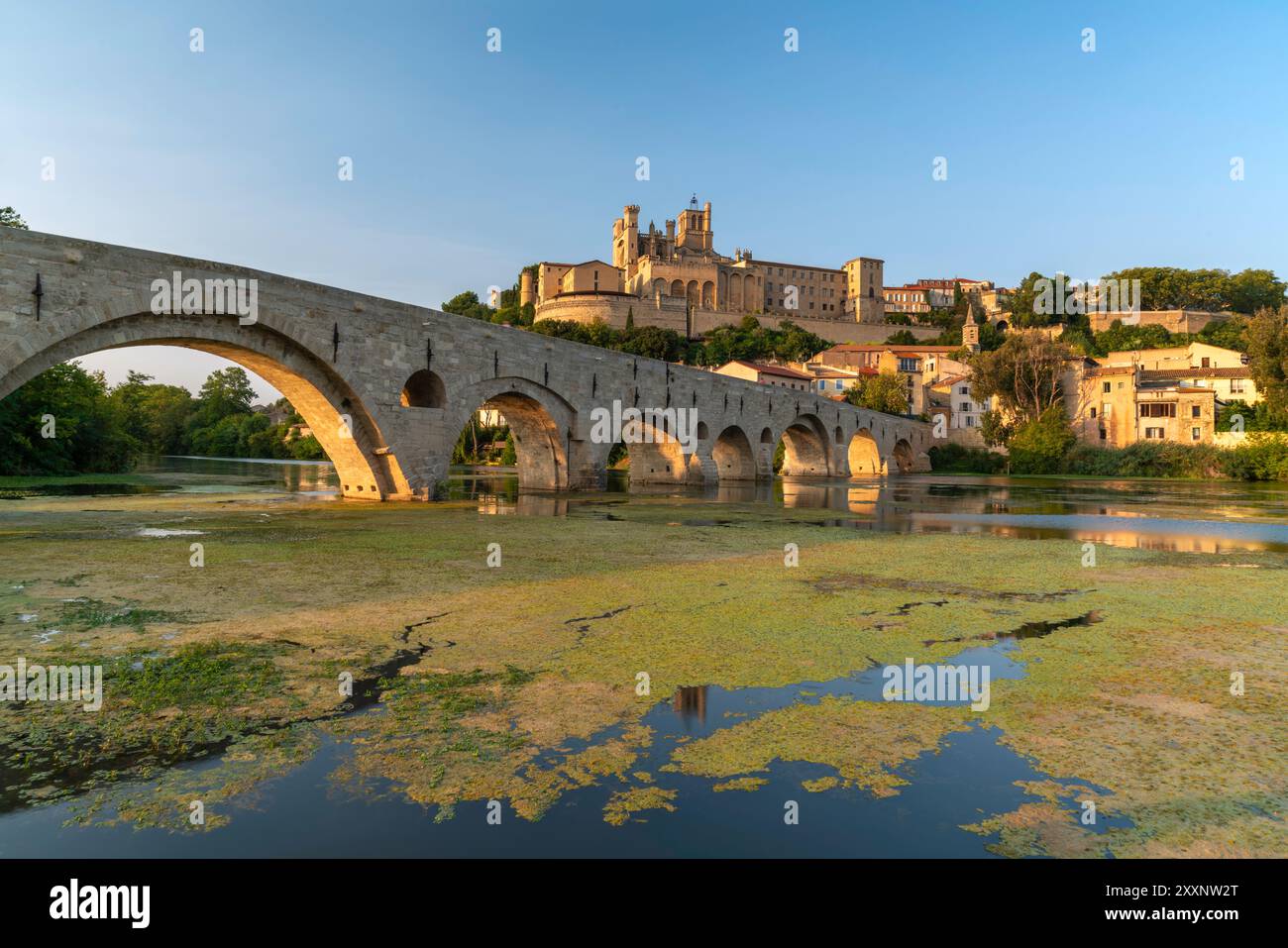 Cathedral de Saint-Nazaire de Béziers and the Pont Vieux Roman bridge ...